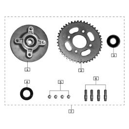 Sinnis Hoodlum 125 (Z24) Sprocket Carrier